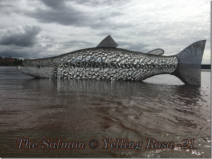 The Salmon © Yelling Rosa -21